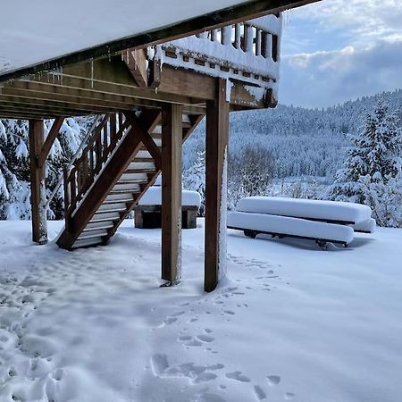 Вілла Chalet Situe Au Grand Valtin Ban-sur-Meurthe-Clefcy Екстер'єр фото