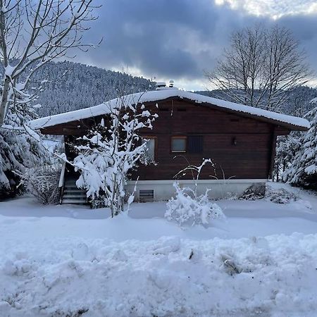 Вілла Chalet Situe Au Grand Valtin Ban-sur-Meurthe-Clefcy Екстер'єр фото