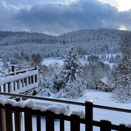 Вілла Chalet Situe Au Grand Valtin Ban-sur-Meurthe-Clefcy Екстер'єр фото