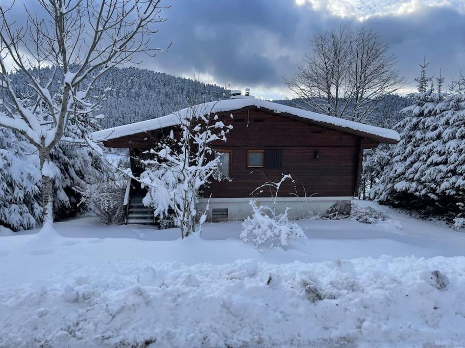 Вілла Chalet Situe Au Grand Valtin Ban-sur-Meurthe-Clefcy Екстер'єр фото