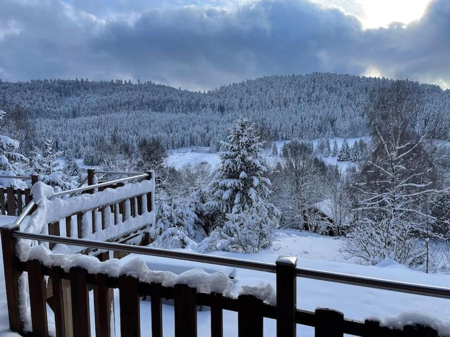 Вілла Chalet Situe Au Grand Valtin Ban-sur-Meurthe-Clefcy Екстер'єр фото